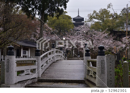 くろ谷　金戒光明寺　極楽橋と蓮池 52962301