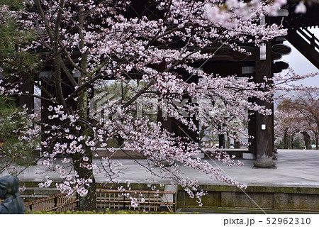 くろ谷　金戒光明寺　山門 52962310