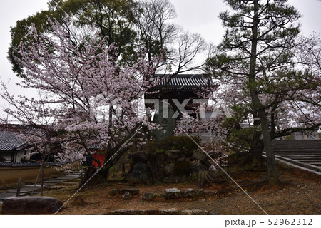 くろ谷 金戒光明寺 忠魂碑 くろ谷 金戒光明寺 忠魂碑 52962312