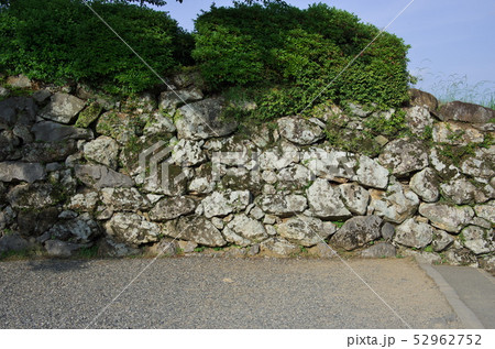 高知市：高知城の石垣 52962752