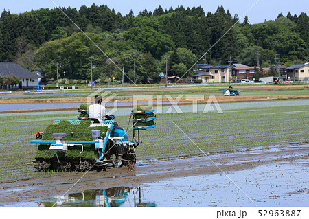 田植え機で田植えをする男性 イメージ 田植え機で田植えをする男性 イメージ 52963887