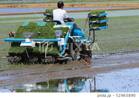 田植え機で田植えをする男性 イメージ 田植え機で田植えをする男性 イメージ 52963890