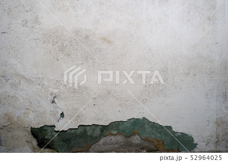 Closeup of a mold wall with fungus 52964025