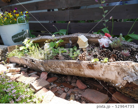 白樺の木を使った手作り感溢れる寄せ植え 52964735