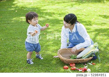 夏野菜収穫　親子 52964951