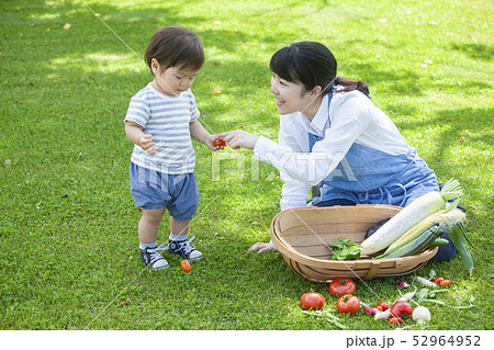 夏野菜収穫 親子 夏野菜収穫 親子 52964952