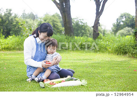 夏野菜収穫　親子 52964954