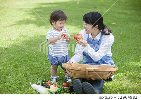 夏野菜収穫　親子 52964982