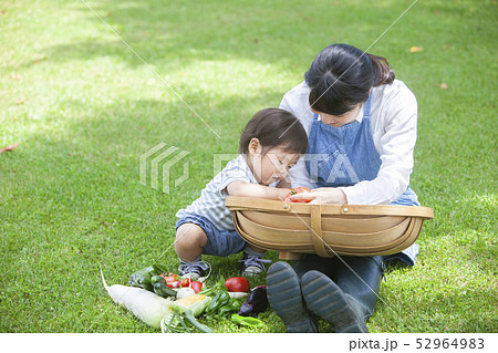 夏野菜収穫　親子 52964983