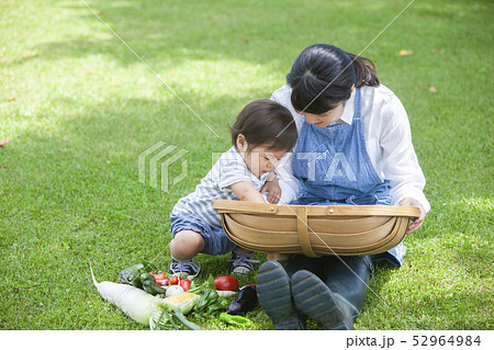 夏野菜収穫 親子 夏野菜収穫 親子 52964984