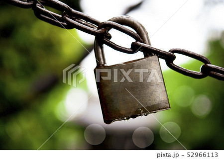 雨に濡れる南京錠とサビついたチェーン 52966113
