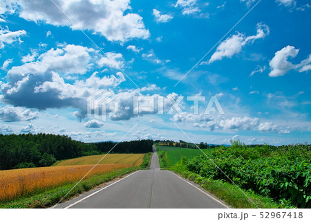 旭川　就実の丘あたりの風景 52967418