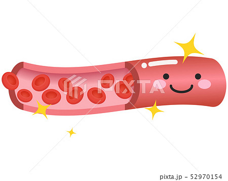 血管 血管 52970154