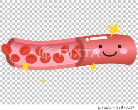 血管 血管 52970154