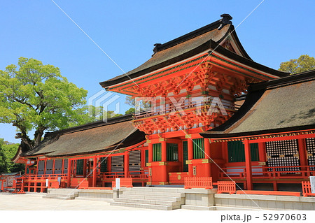 宇佐神宮本殿（国宝・宇佐市） 52970603