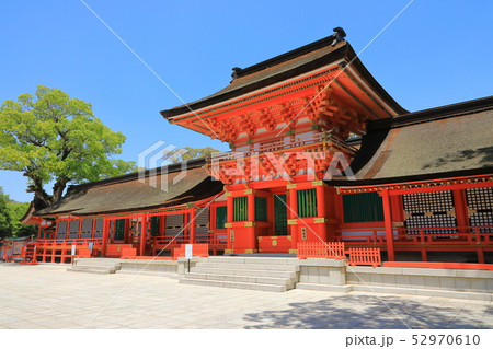 宇佐神宮本殿(国宝) 宇佐神宮本殿(国宝) 52970610