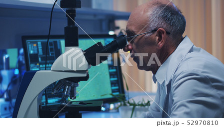 Scientist examining bacteria with microscope Scientist examining bacteria with microscope 52970810