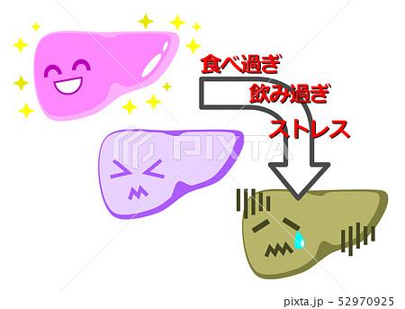 肝臓のイラストのイラスト素材