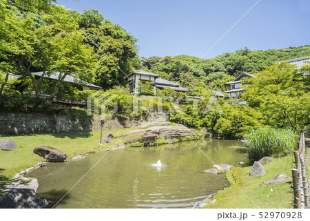 円覚寺 妙香池(鎌倉市山ノ内) 円覚寺 妙香池(鎌倉市山ノ内) 52970928