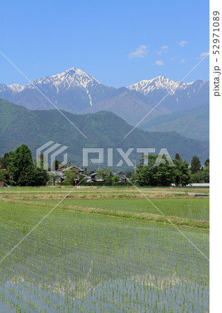 安曇野の5月 安曇野の5月 52971089