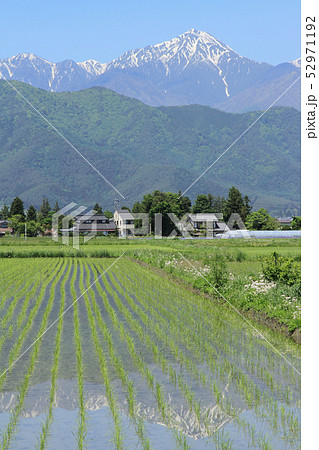 安曇野の5月 52971192