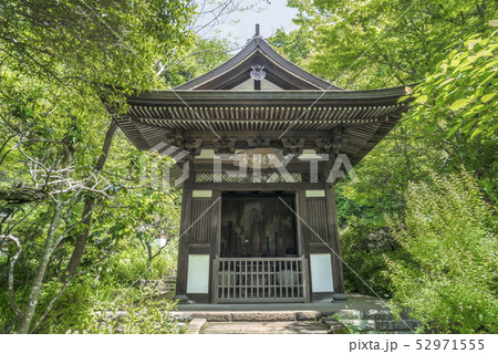 円覚寺塔頭 黄梅院聖観音堂(鎌倉市山ノ内) 円覚寺塔頭 黄梅院聖観音堂(鎌倉市山ノ内) 52971555