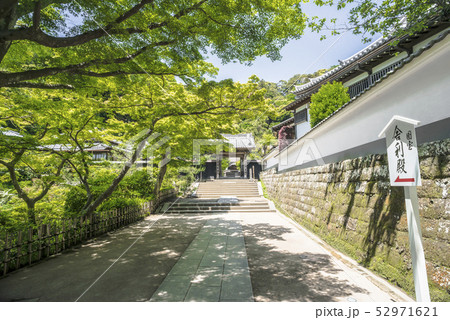 円覚寺塔頭 正続院(鎌倉市山ノ内) 円覚寺塔頭 正続院(鎌倉市山ノ内) 52971621