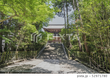 円覚寺山門(鎌倉市山ノ内) 円覚寺山門(鎌倉市山ノ内) 52971780