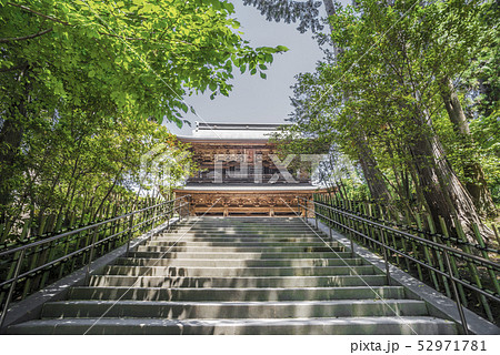 円覚寺山門（鎌倉市山ノ内） 52971781