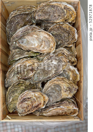 Rock Oysters Crate 52971878