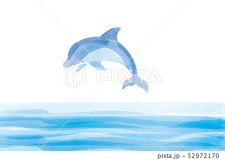 ジャンプするイルカのイラスト 水彩画 夏のイメージ ドルフィンジャンプ ベクターデータのイラスト素材