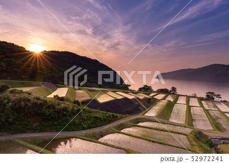 田烏棚田の夕景 52972241