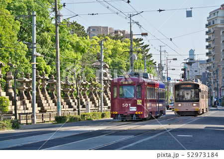 阪堺電気軌道 路面電車 (住吉大社前) 52973184