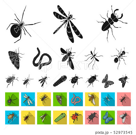 Different kinds of insects black,flat icons in set collection for design. Insect arthropod vector 52973545