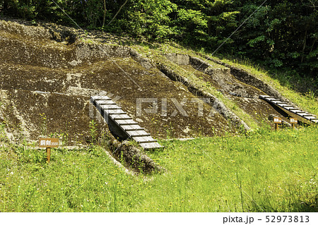 島根県出雲　出雲市斐川町　荒神谷遺跡　青銅器（銅剣358本　銅鐸6個　銅矛16本）出土地 52973813