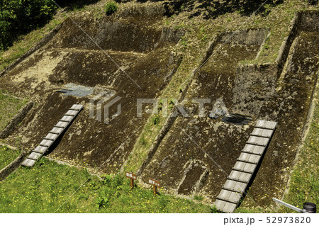 島根県出雲　出雲市斐川町　荒神谷遺跡　青銅器（銅剣358本　銅鐸6個　銅矛16本）出土地 52973820