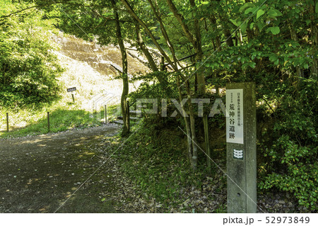 島根県出雲　出雲市斐川町　荒神谷遺跡　石柱 52973849