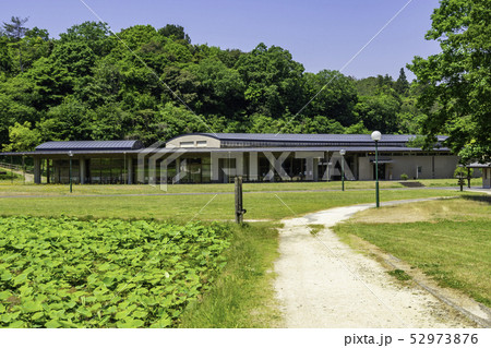 島根県出雲　出雲市斐川町　荒神谷遺跡　荒神谷博物館 52973876