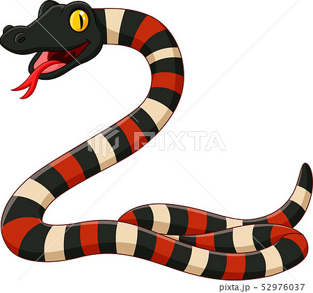Cartoon angry snake on white background 52976037