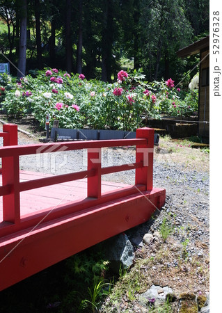 長谷ぼたん園 52976328