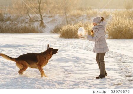 Cute girl and German shepherd. Winter 52976676