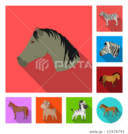 Isolated object of trot and running sign. Collection of trot and clipart stock symbol for web. Isolated object of trot and running sign. Collection of trot and clipart stock symbol for web. 52976791