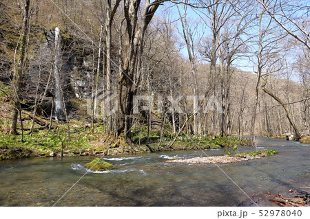 日本 青森県の奥入瀬渓流 日本 青森県の奥入瀬渓流 52978040