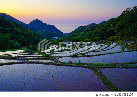 伊豆 石部の棚田 松崎 伊豆 石部の棚田 松崎 52978124