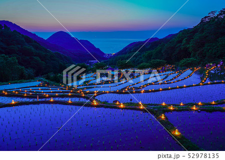 伊豆 石部の棚田 松崎 伊豆 石部の棚田 松崎 52978135