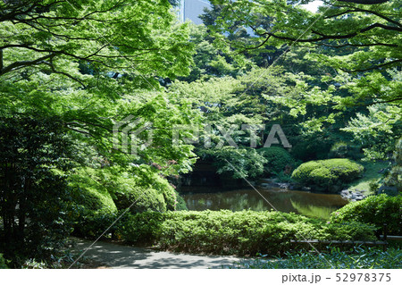 新緑の日本庭園 52978375
