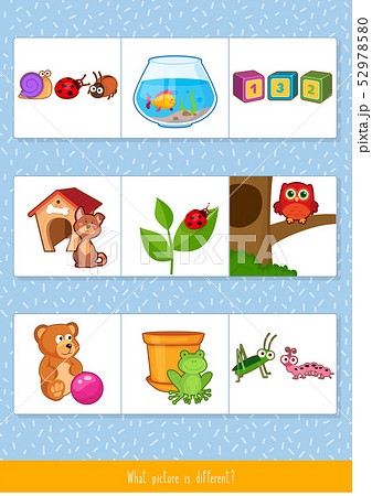 Find a different picture 52978580