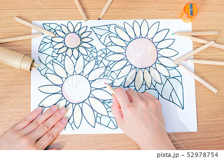 塗り絵をする女性 52978754