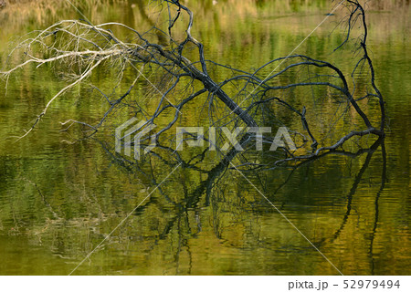 紅葉 秋深まる 紅葉 秋深まる 52979494