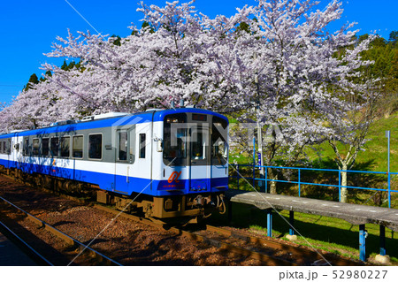 能登さくら駅　さくら　のと鉄道 52980227